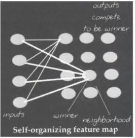 Figura 2.3. Self-organizing map 