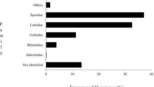 Figure 4B Frequency of Occurrence of identified vertebrate families at Arrifes’ Beach