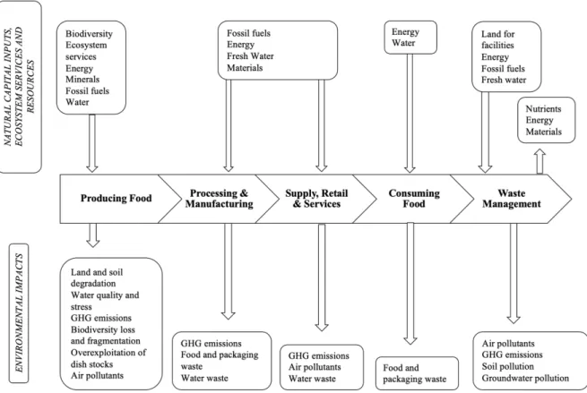 Figure 2 – Environmental Perspective of Food System Activities;  