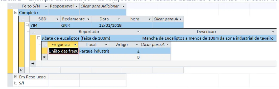 Tabela 2 – Exemplo da tabela com as relações entre entidades utilizando o software Microsoft Access 