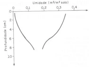 Figura 5: Evolução do perfil de umidade no solo. Fonte: TUCCI (2004) 