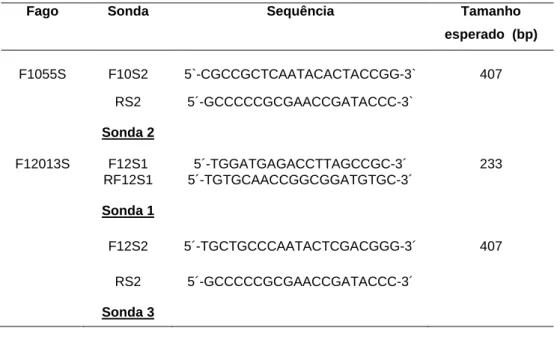 Tabela III- Sequência das sondas especificas para  os fagos F1055S e F12013S. 