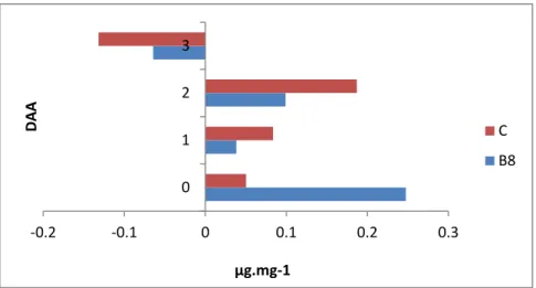 Figura 12: Acumulação de shiquimato endógeno em duas populações de  C. bonariensis: B8 (R) e C  (S)