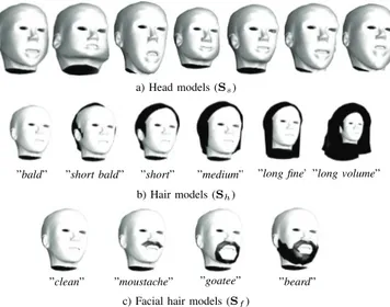 Fig. 2. Illustration of the 3D head shapes, hair and facial hair models that are used as the hypotheses considered in this paper.