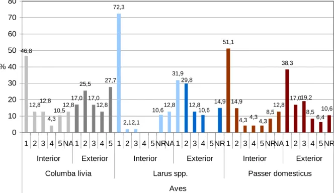 Figura 17 –  Intensidade de infestação de aves, Columba livia, Larus spp.  e  Passer  domesticus, nas instalações interiores e exteriores