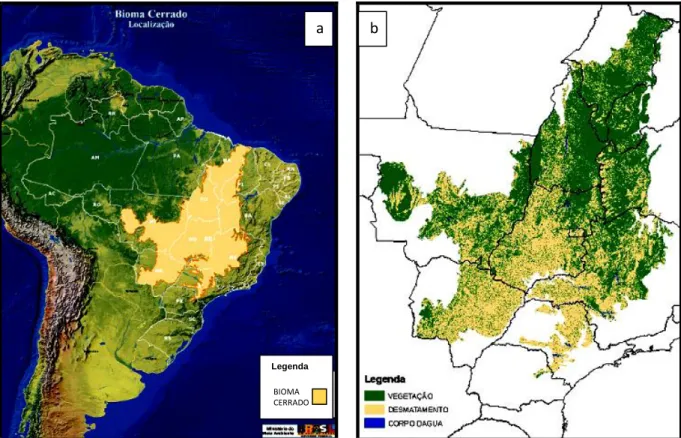Figura  1.  Localização  do  Bioma  Cerrado  (a)  e  ampliação  da  área  contínua  do  Cerrado  (b),  mostrando  a  distribuição do desmatamento até 2008 (MMA, 2009a, 2009b), com adaptações