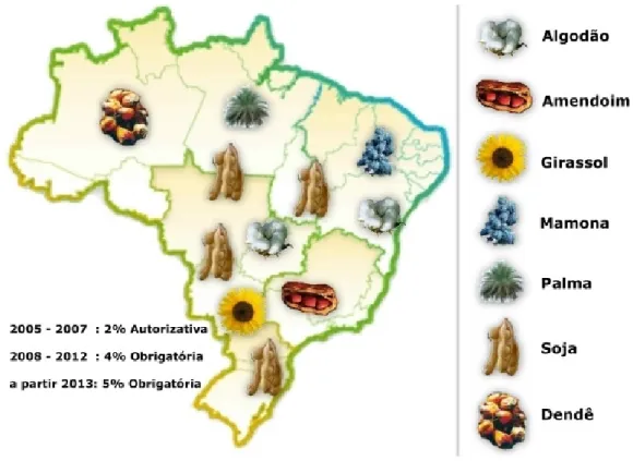 Figura  10:  Fontes  de  oleaginosas  para  produção  de  biodiesel  nas  regiões brasileiras