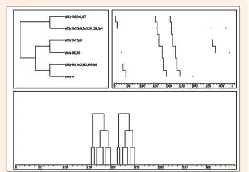 Figure 1. Swimmer 1 - Schematic representation of incomplete behavioural pattern, with five  events in consecutive cycles 2 and 3