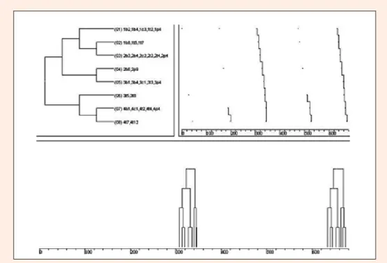 Figure 4. Swimmer 2 - Schematic representation of complete behavioural pattern. Pattern with eight events in  alternating cycles