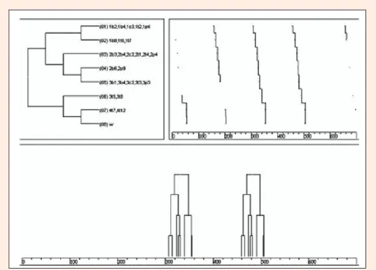 Figure 6. Swimmer 3 - Schematic representation of incomplete behavioural pattern. Pattern with seven events  in consecutive cycles