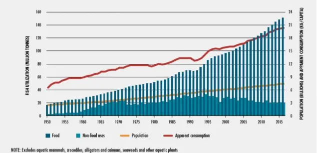 Figura 2 – Utilização mundial de pescado e consumo aparente (FAO 2018) 