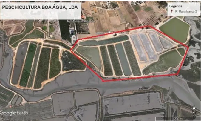 Figura 3 – Identificação da estrutura geral da aquicultura (fonte: Google Earth Pro, acedido  19/2/2019) 