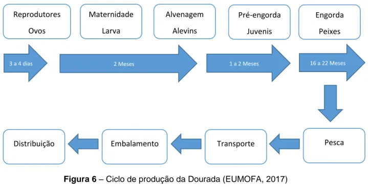 Figura 6 – Ciclo de produção da Dourada (EUMOFA, 2017) 