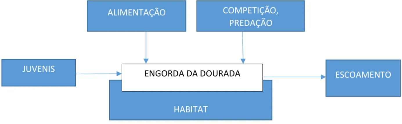 Figura 7 - Ciclo do produto 
