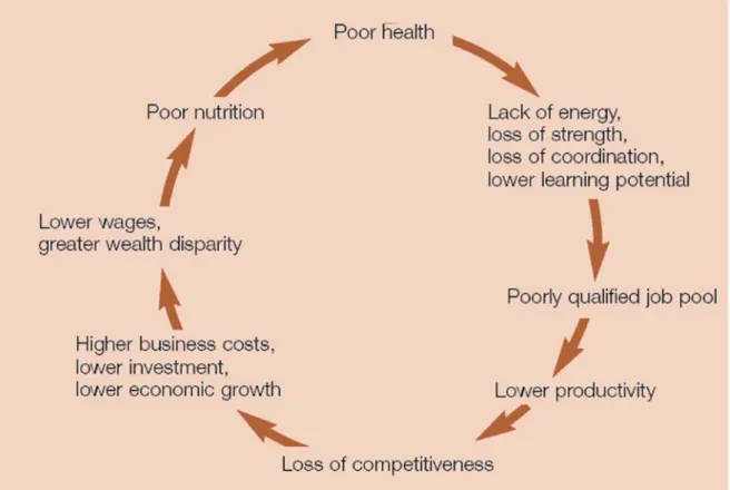 Figura 1 – Ciclo da má alimentação e da baixa produtividade de um país 