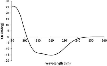 Figure 12 – CD spectrum of OVA (4.44 10 -6  M ) at 298K.