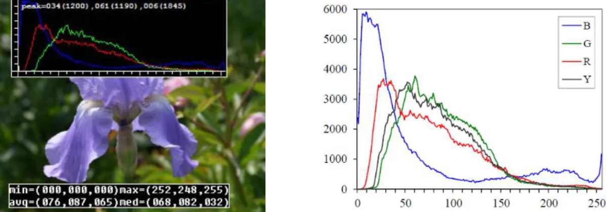 Figura 2.4: Uma imagem e o seu respetivo histograma global, assim como algumas medi- medi-das com base nos pixels