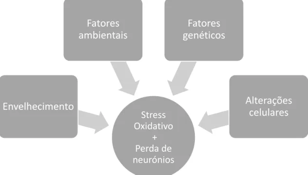 Figura 3 - Principais fatores responsáveis pela Neurodegeneração 