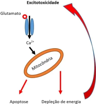 Figura 5 - Resumo esquemático do mecanismo de excitotoxicidade 