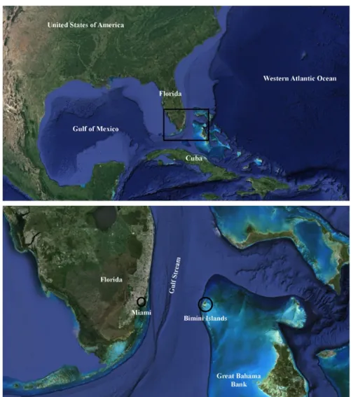 Fig.  2.  Regional  context  and  satellite  maps  of  the  Bahamian  archipelago  (source:  Google  Earth,  accessed in April 2016)
