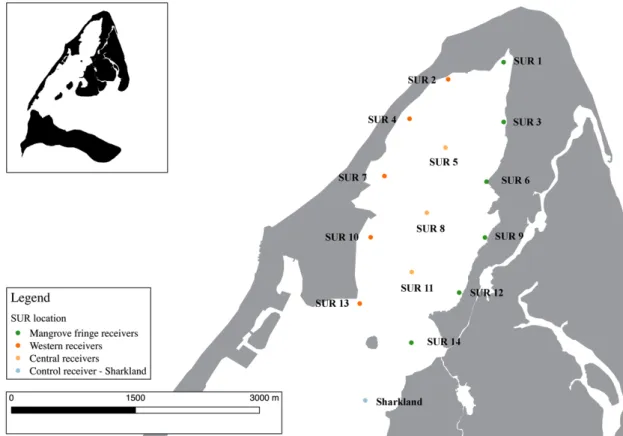 Fig. 7. Map of the network of 15 passive acoustic listening stations deployed in August 2015 within the  study area, North Sound, Bimini Islands, Bahamas