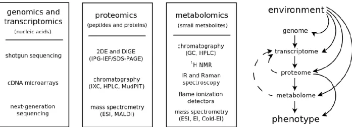 Figure 1.6 – Diagram showing the major technologies underlying the main ―omics‖ (on the left), along with a  scheme depicting the information flows from genotype to phenotype (on the right)