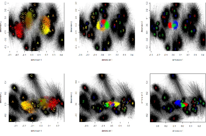 Figure 2.4 – Plot of the gels analysed with PDQuest in a 2D space by multidimensional scaling