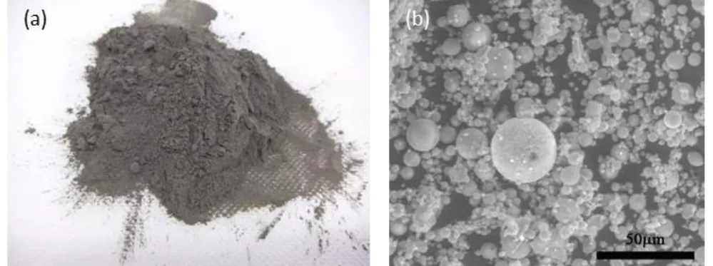 Figure 1: Fly ashes: a) general view; b) SEM image 