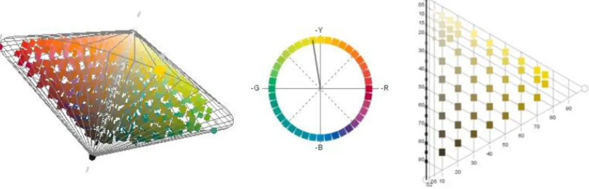 Figura 2.8: Sistema cromático Natural Color System  (fonte: www.ncscolour.com, 01/04/2010)