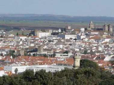 Figura 3.9: Vista aérea da cidade de Évora  (fonte: www.cm-evora.pt, 07/05/2010) 