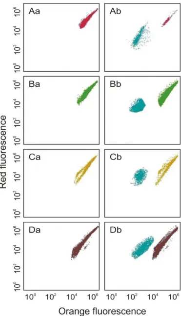 Fig. 1.  Cytograms obtained with a monocultures  (a) and co-cultures with Synechococcus sp