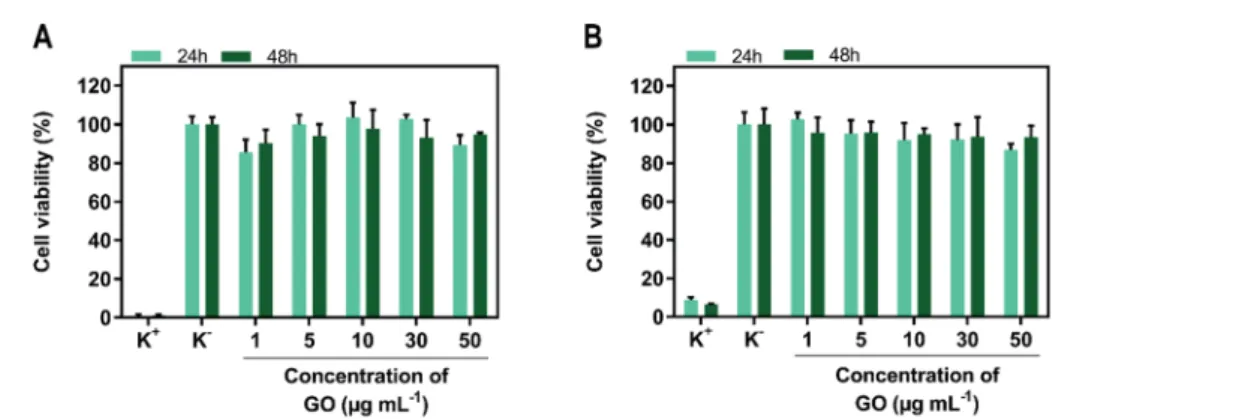 Fig. 3 Evaluation of the cytocompatibility of SPP/GO. Cell viability of MCF-7 cells (A) and NHDF (B) incubated with SPP/GO, at di ﬀ erent concentrations of GO, during 24 and 48 h