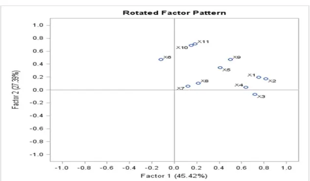 Figure 9.2.9a Rotated Factor Pattern          Figure 9.2.9b Rotated Factor Pattern                     