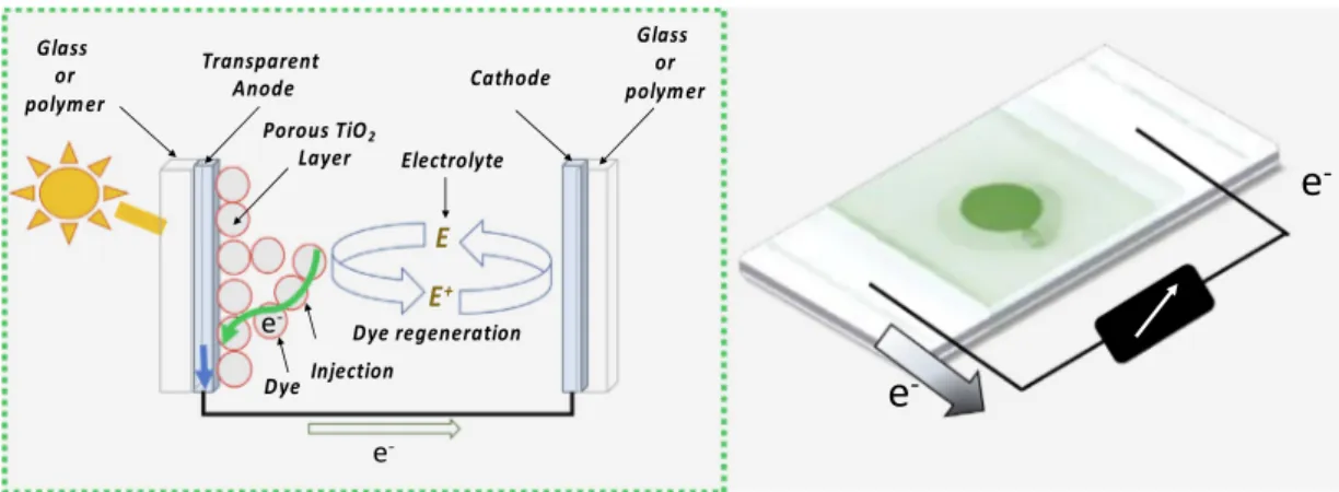 Fig. 1. Schematic representation of Dye-Sensitized Solar Cell (DSSC).