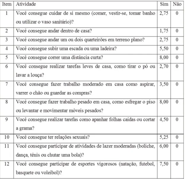 Figure 2 – Duke Activity Status Index translated into Brazilian Portuguese  References 