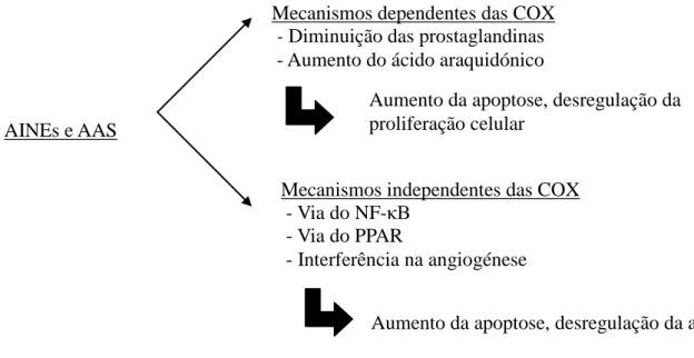Figura 5 – Esquema dos mecanismos dos AINES, dependentes e independentes das COX [33] 