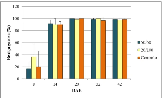 Figura  3.6.  Representação  da  percentagem  de  larvas  de  dourada  (Sparus  aurata)  com  bexiga  gasosa  insuflada,  em  média,  para  todos  os  protocolos  alimentares  ao  longo  do  ensaio, com os respectivos desvios padrão