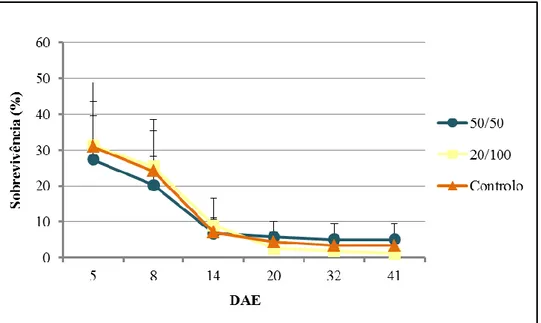 Figura 3.7. Representação da sobrevivência (%) das larvas de dourada (Sparus aurata),  em média, para todos  os protocolos alimentares ao longo do  ensaio, com os respectivos  desvios padrão