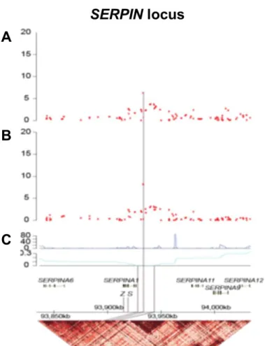 Figure 6: The SERPINA1 locus shows differential associations with anti-PR3 positive patients