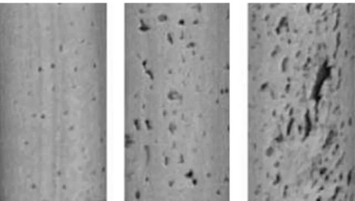 Figure 6. Cylindrical surface (bodies) of cork stoppers from three quality groups ordered from  best to worst quality (from left to right) (Costa and Pereira 2007)
