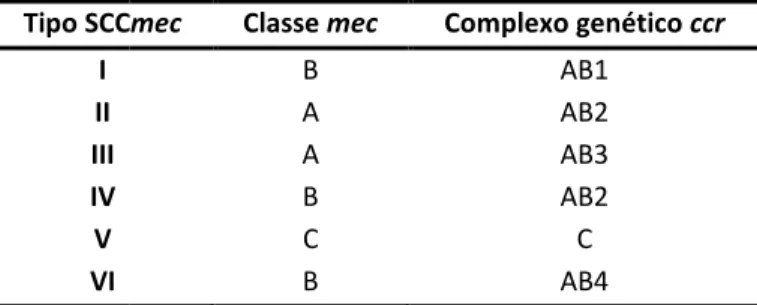 Tabela 2. Classificação dos tipos de SCCmec,  Tomasz, 2007).  Tipo SCC I  II  III  IV  V  VI  As  restantes  partes  do  SCC