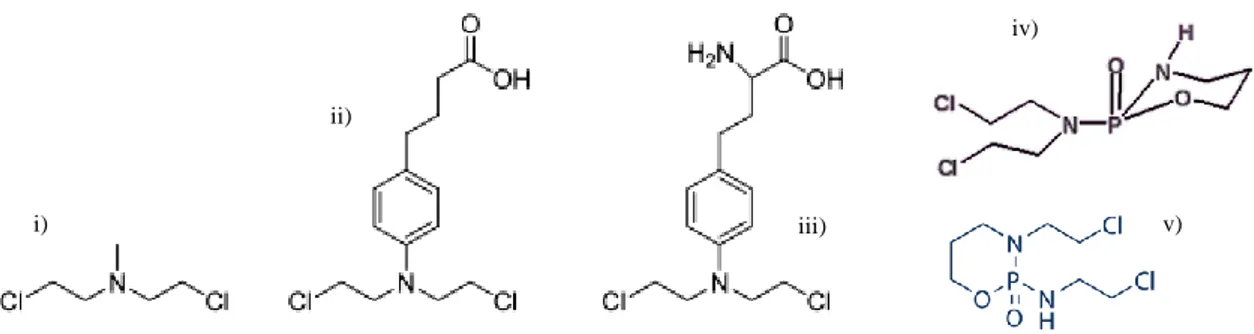 Figura I-2: Estrutura química das mustardas nitrogenadas. i) Clormetina; ii) Clorambucilo; iii) Melfalano; iv) ciclofosfamida ; v)  ifosfamida