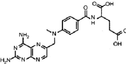 Figura  I-9:  Estrutura  química  do  ani  metabolito  Metotrexato  adaptado de Kaye et al.(72)  