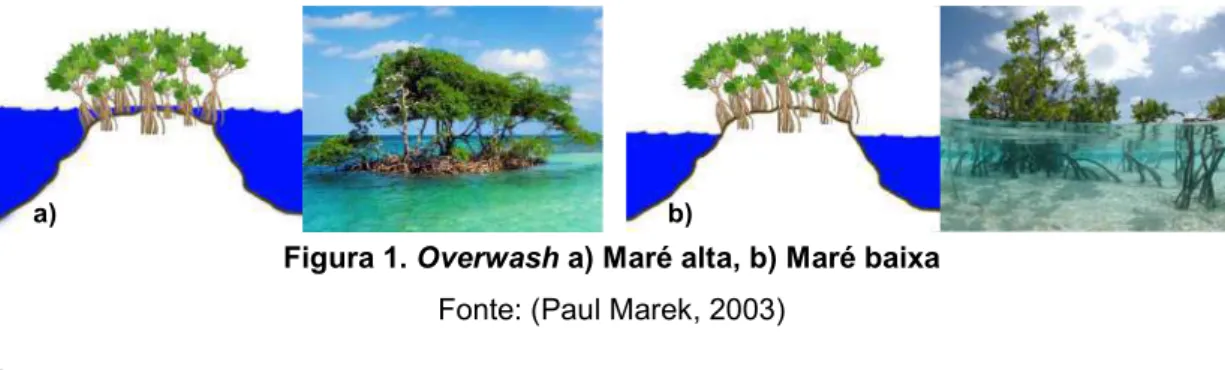 Figura 1. Overwash a) Maré alta, b) Maré baixa  Fonte: (Paul Marek, 2003) 