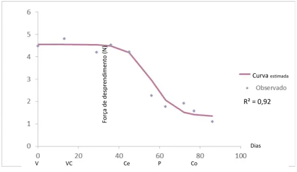 Figura 2 – Força de desprendimento (em Newtons) dos frutos de café Conilon de  genótipos superprecoces observada e calculada pelo  modelo de regressão em função da  evolução do ciclo de maturação