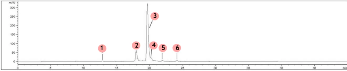 Figure 6. Coloured phenolic profile of Saco sweet cherry obtained by LC-DAD. Detection at 500  n m