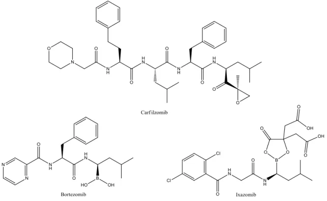 Figure 1.3: Proteasome inhibitors approved for the clinical use. 