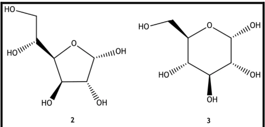 Figure 6. Reeves projection of α- D -glucopyranose (3). 