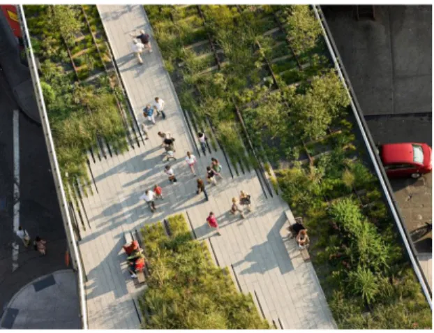 Figura 6: High Line em Nova Iorque (Fonte: Friends  of the High Line, s/ data)