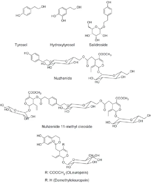 Figure 1. Some components found in stone and seed olives.